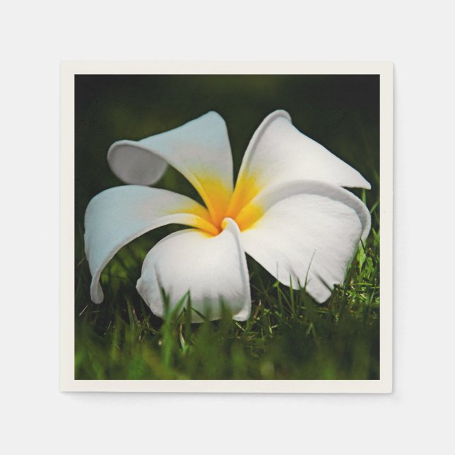 White Plumeria Frangipani Hawaii Flower Napkin (Front)
