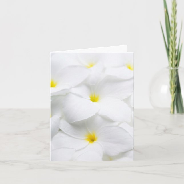 White Plumeria Frangipani Hawaiian Tropical Flower Card (Front)