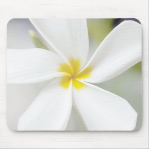White Plumeria - Macro Portrait Mouse Mat