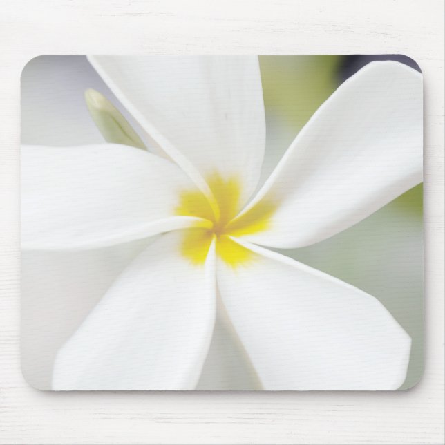 White Plumeria - Macro Portrait Mouse Mat (Front)