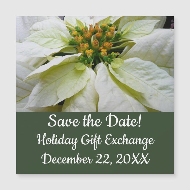 White Poinsettia Elegant Christmas Holiday Floral (Front)