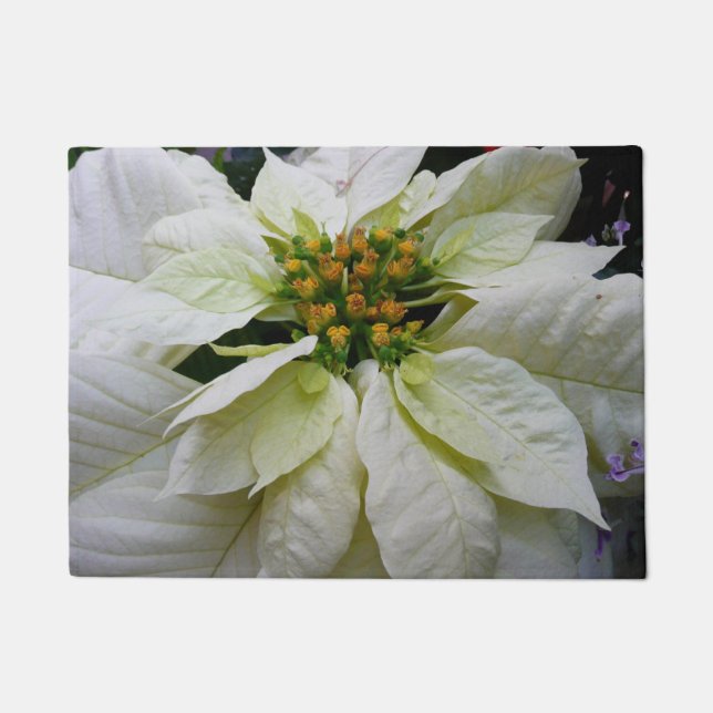 White Poinsettia Elegant Christmas Holiday Floral Doormat (Front)