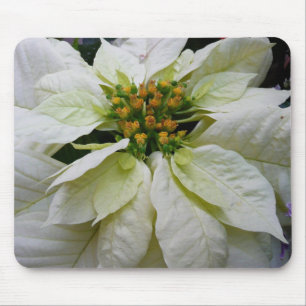 White Poinsettia Elegant Christmas Holiday Floral Mouse Mat
