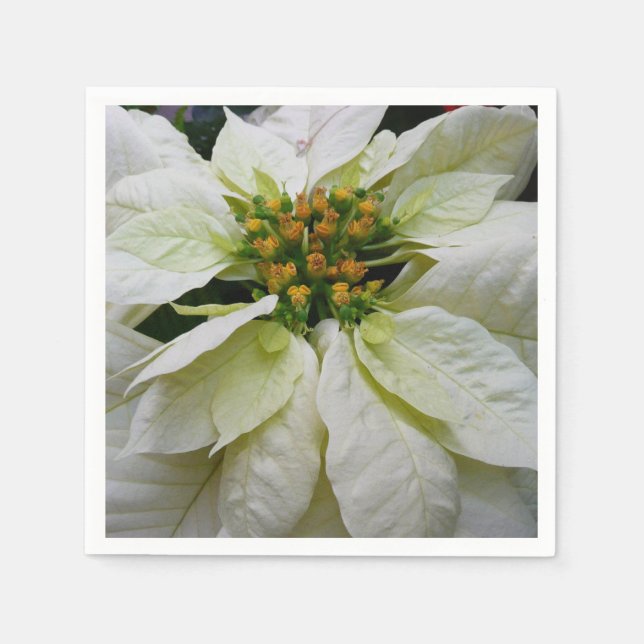 White Poinsettia Elegant Christmas Holiday Floral Napkin (Front)