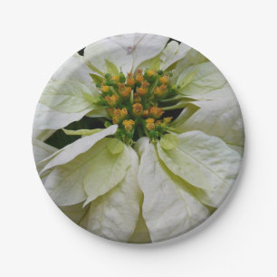 White Poinsettia Elegant Christmas Holiday Floral Paper Plate