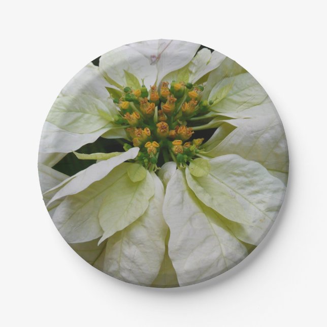 White Poinsettia Elegant Christmas Holiday Floral Paper Plate (Front)