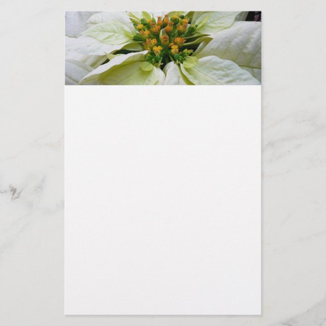 White Poinsettia Elegant Christmas Holiday Floral Stationery (Front)