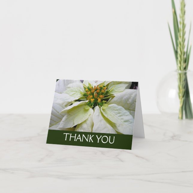 White Poinsettia Elegant Christmas Holiday Floral Thank You Card (Front)
