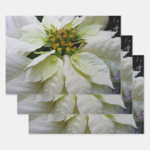 White Poinsettia Elegant Christmas Holiday Floral