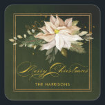 White Poinsettia & Merry Christmas Calligraphy Square Sticker<br><div class="desc">Elegant artistic white poinsettia,  green leaves,  winter pine,  gold greenery and sparkles with "Merry Christmas" custom calligraphy on green background. Includes editable text field.</div>