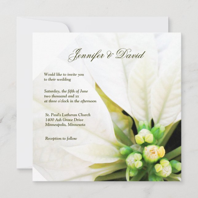 White Poinsettia Wedding Invitation (Front)
