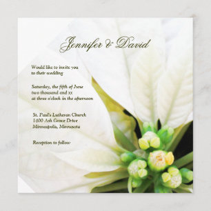 White Poinsettia Wedding Invitation