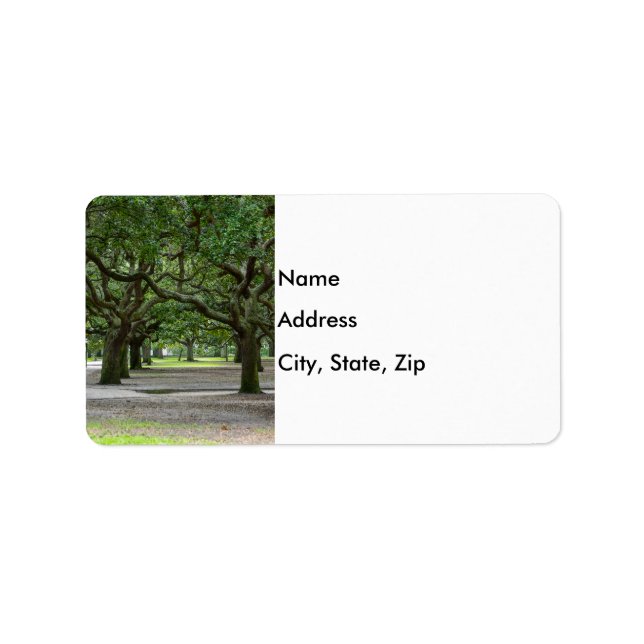 White Point Gardens Painterly Label (Front)