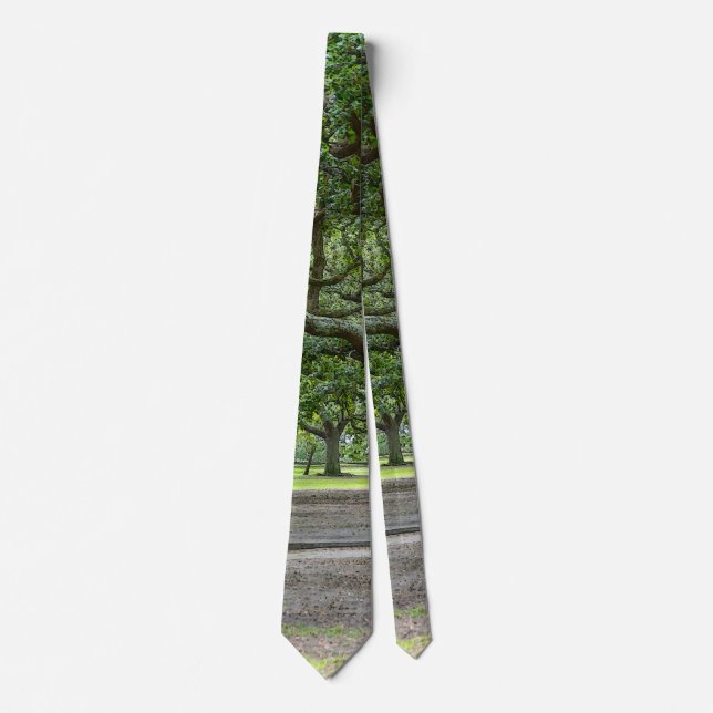 White Point Gardens Painterly Neck Tie (Front)