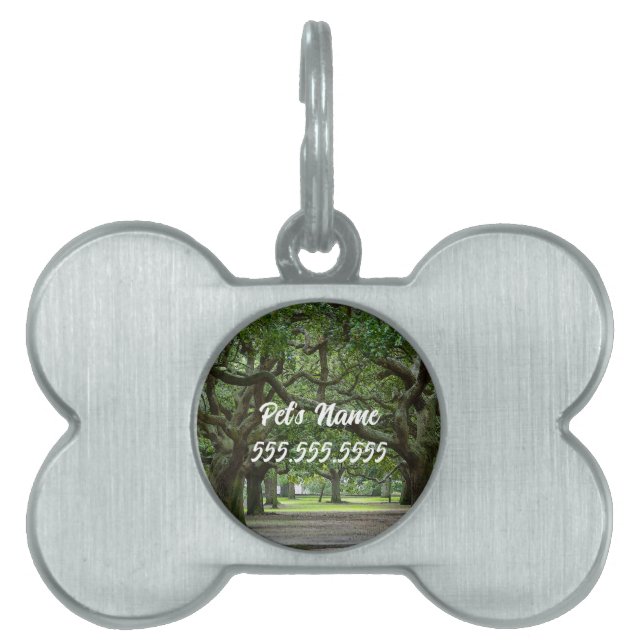 White Point Gardens Painterly Pet ID Tag (Front)