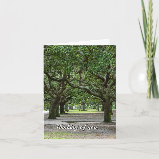 White Point Gardens Painterly Thinking Of You Card (Front)
