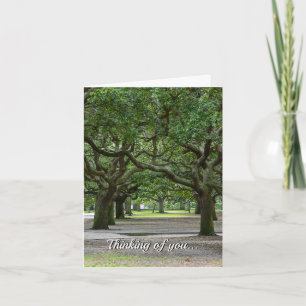White Point Gardens Painterly Thinking Of You Card