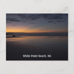 White Point Summer Surise Postcard