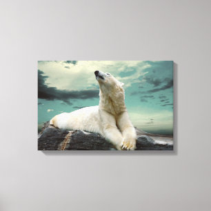 White Polar Bear Hunter on rock Canvas Print