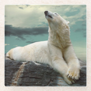 White Polar Bear Hunter on rock Glass Coaster
