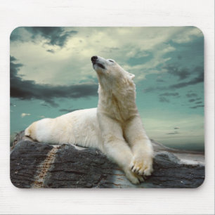 White Polar Bear Hunter on rock Mouse Mat