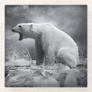White Polar Bear Hunter on the Ice in water Glass Coaster