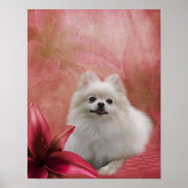 White Pomeranian Dog Lily Flowers Animal Art Poster (Front)