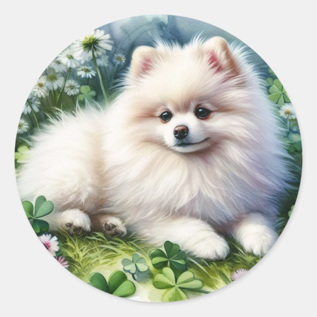 White Pomeranian Dog Watercolor Clover Field Classic Round Sticker (Front)