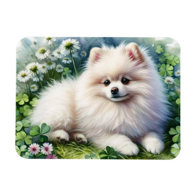 White Pomeranian Dog Watercolor Clover Flexible Magnet (Horizontal)
