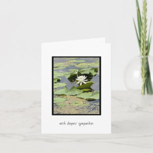 White Pond Lily Sympathy Card