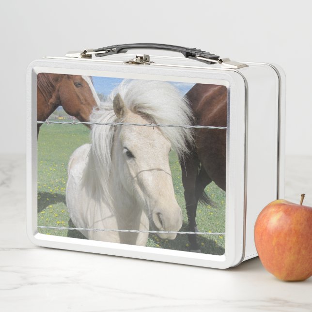 White Pony Metal Lunch Box (In Situ)