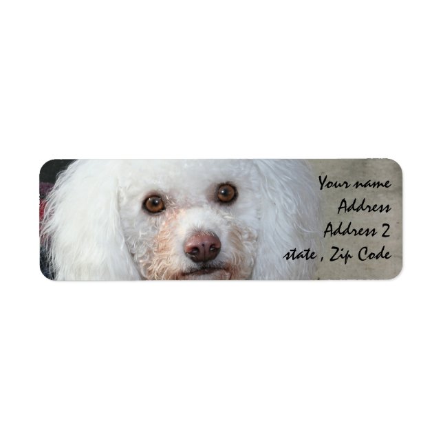 White Poodle Address Labels (Front)