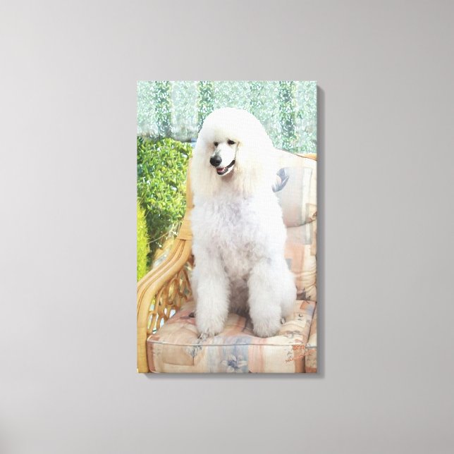 White Poodle Canvas Print (Front)