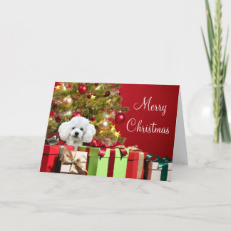 White Poodle Christmas Card