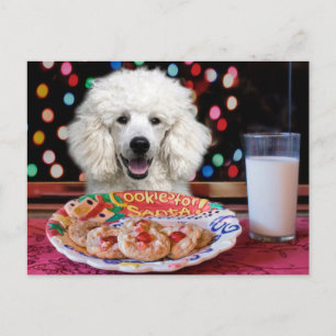 White Poodle Christmas Holiday Postcard