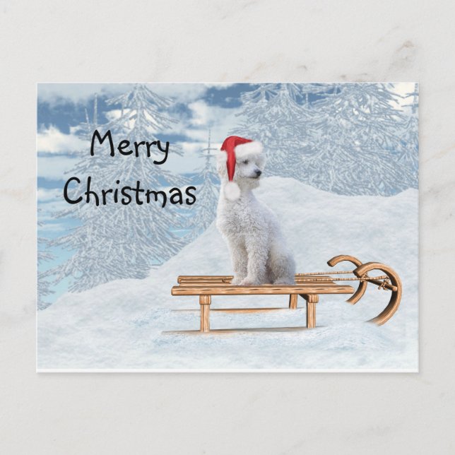 White poodle Christmas Postcard (Front)
