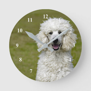White Poodle Clock