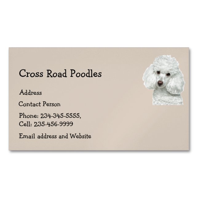 White Poodle Dog Pet Anima Magnetic Business Card (Front)