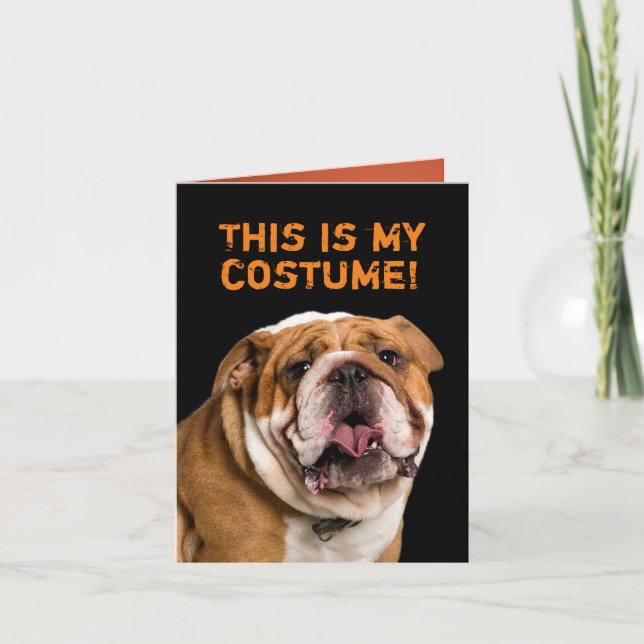 White Poodle Dressed as a Bulldog Halloween Card (Front)
