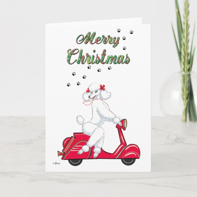 White Poodle on Red Scooter Merry Christmas Cards (Front)