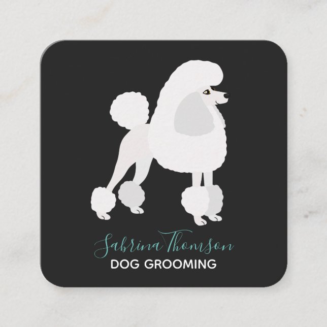 White Poodle Pet Grooming Square Business Card (Front)