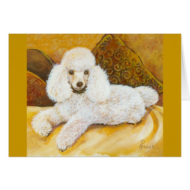 White Poodle Portrait (Front Horizontal)