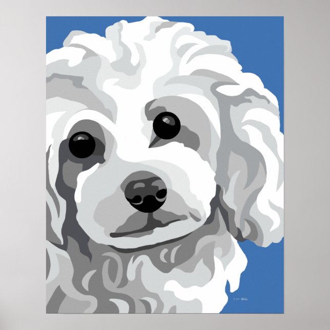 White Poodle Poster (Front)