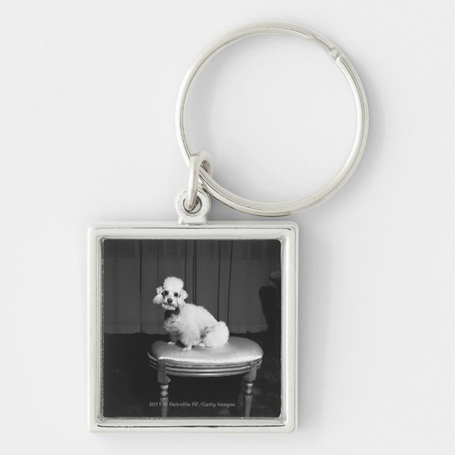 White poodle sitting on stool B&W Key Ring (Front)