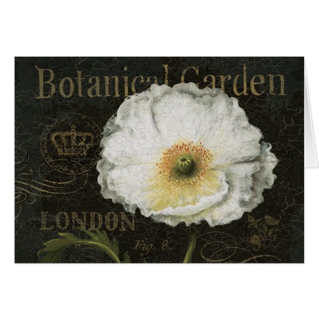 White Poppy Blossom (Front Horizontal)