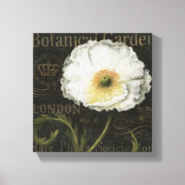 White Poppy Blossom Canvas Print (Front)
