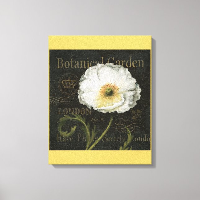 White Poppy Blossom Canvas Print (Front)