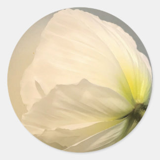 White Poppy  Classic Round Sticker
