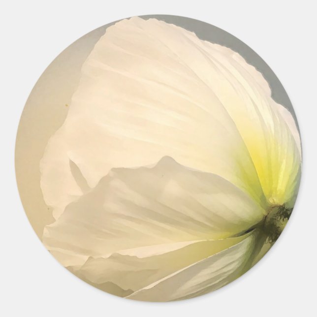 White Poppy  Classic Round Sticker (Front)