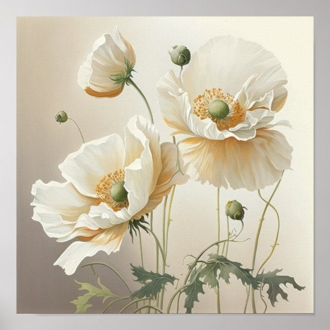 White Poppy Flowers Art Print Poster (Front)